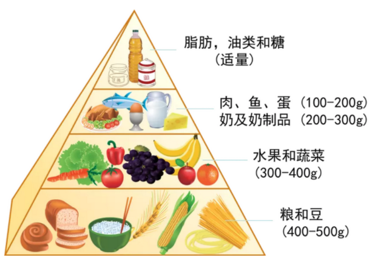 碳水化合物金字塔图片