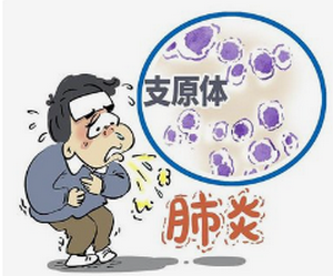 image011_副本 image011_副本