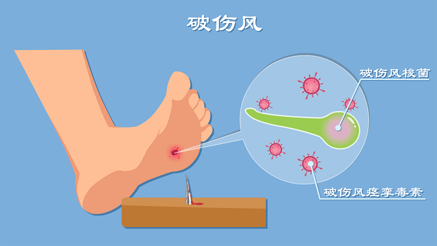 1654754196363156_副本 1654754196363156_副本