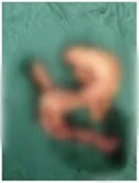 640 (3)_副本 640 (3)_副本