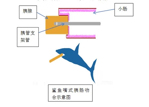 640 (5)_副本 640 (5)_副本