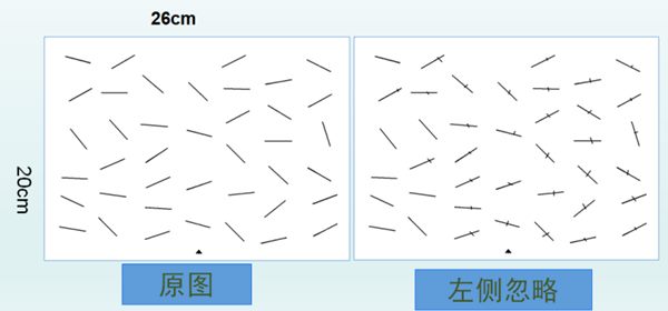 图片4 图片4