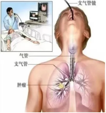 QQ截图20240716162206_副本 QQ截图20240716162206_副本