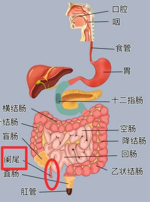 image001_副本 image001_副本