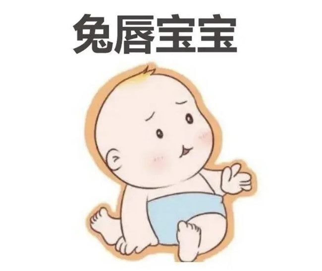 640_副本 640_副本
