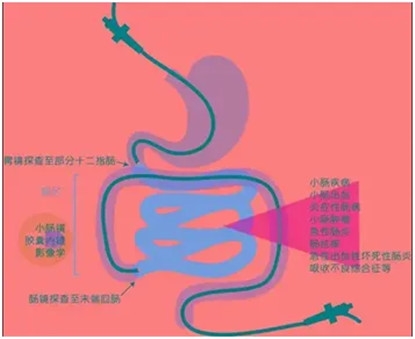 640_副本 640_副本