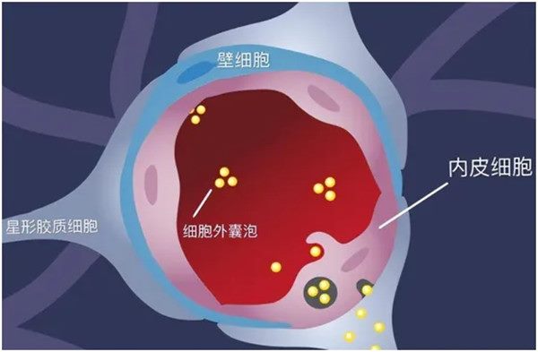 640 (1)_副本 640 (1)_副本