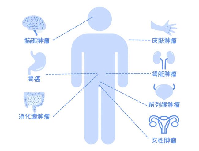 640_副本 640_副本