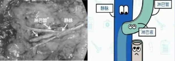 QQ截图20241226083940_副本 QQ截图20241226083940_副本