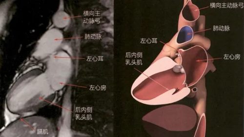 640 (4)_副本