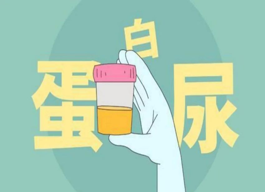 640_副本 640_副本