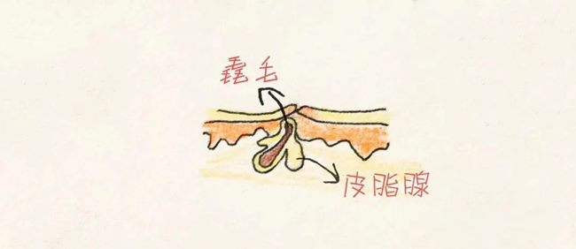 640 (2)_副本 640 (2)_副本