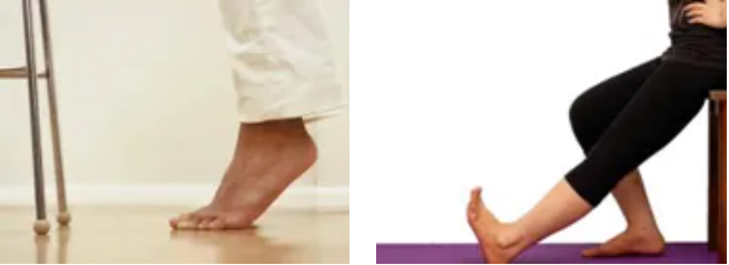QQ截图20250717084739 QQ截图20250717084739