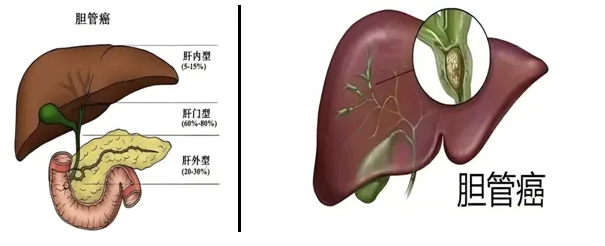QQ截图20250721083604 QQ截图20250721083604