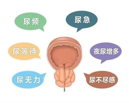 640 (1)_副本