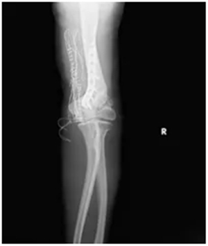 640 (10)_副本 640 (10)_副本