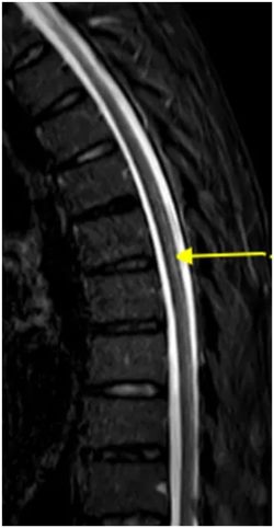 640 (1)_副本 640 (1)_副本