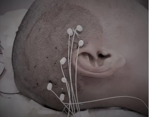 640 (11)_副本 640 (11)_副本