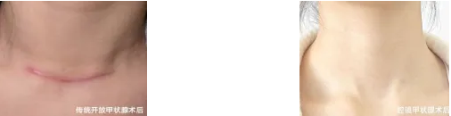 QQ截图20260110083820