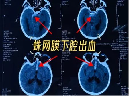 640_副本 640_副本