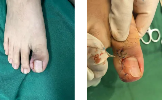 QQ截图20260202090834 QQ截图20260202090834