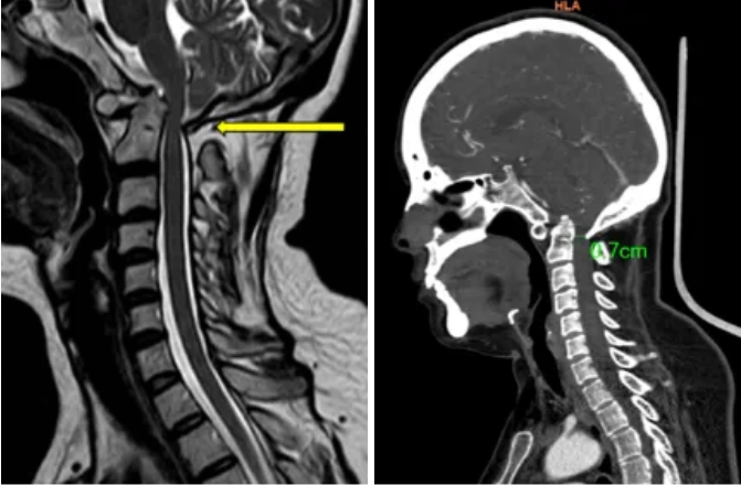 QQ截图20260205082508