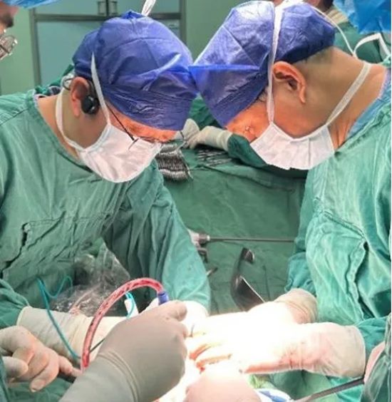 640_副本 640_副本