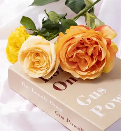 640 (1)_副本 640 (1)_副本