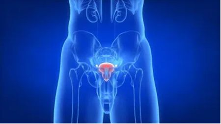 640 (2)_副本 640 (2)_副本