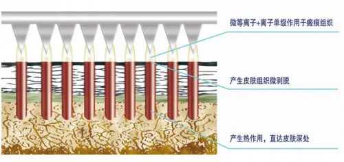 640_副本 640_副本