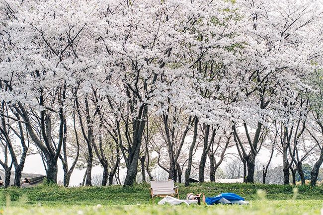 640_副本 640_副本