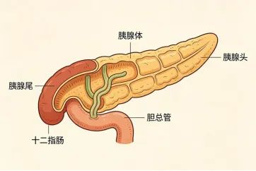 640_副本