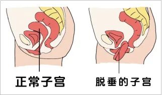 640 (1)_副本 640 (1)_副本