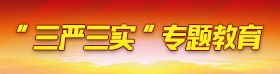 三严三实
