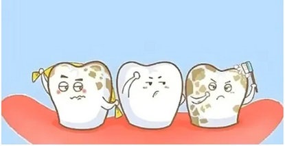银龄护牙指南丨科学刷牙，健康长寿