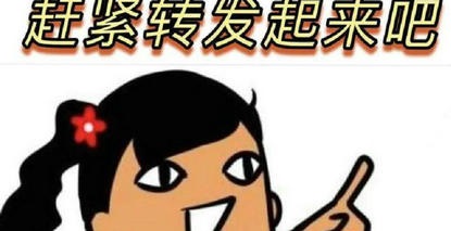 《老年防跌倒完全手册》，速转家族群！